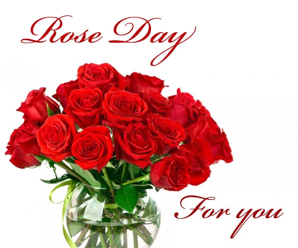 Happy Rose Day Wishes for Girlfriend for 2018