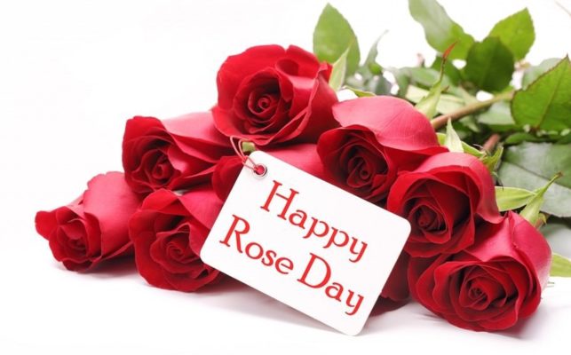 Happy Rose day Whatsapp Messages for 2018 | Wishes | Status