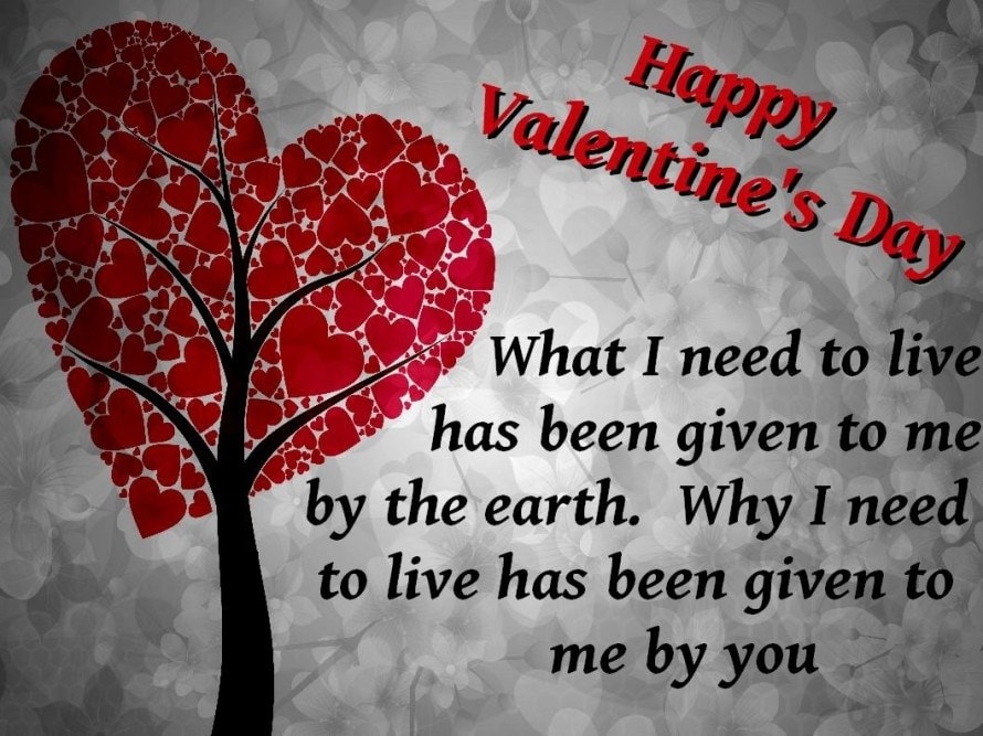 Funny Valentine S Day Wishes For Wife 2018 Quotes Poems Sayings Cards