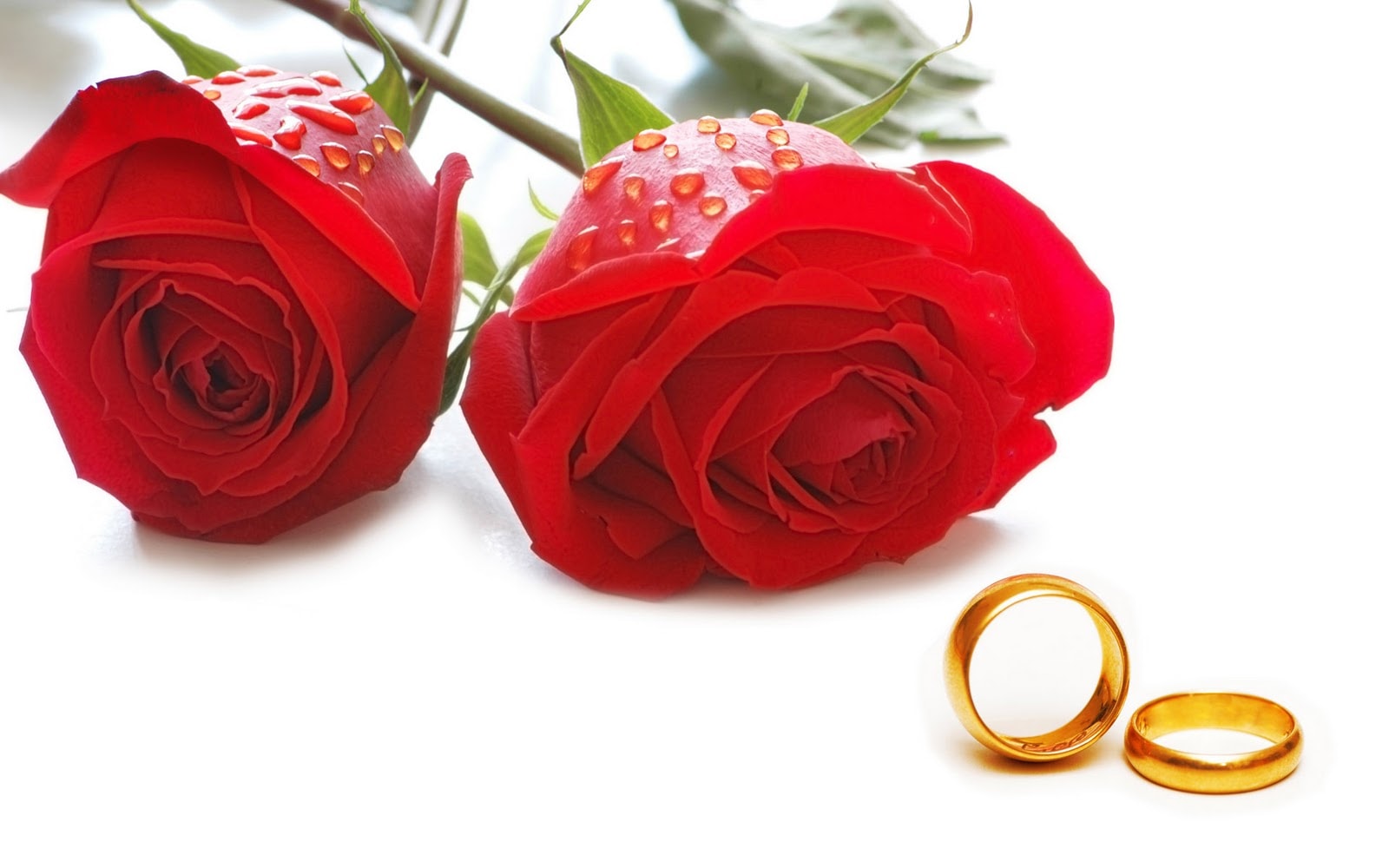Happy Rose day Shayari for Girlfriend in Hindi for 2018
